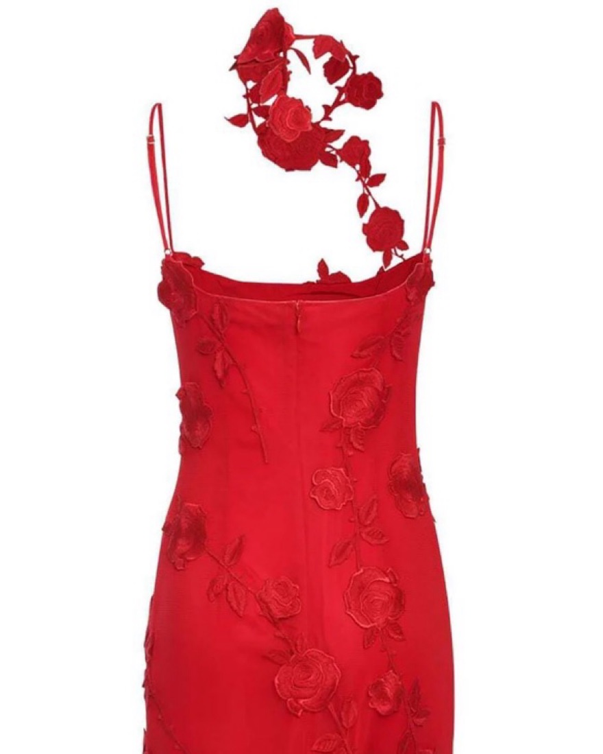 Red Rose Dress With Neck Scarf | Pickle
