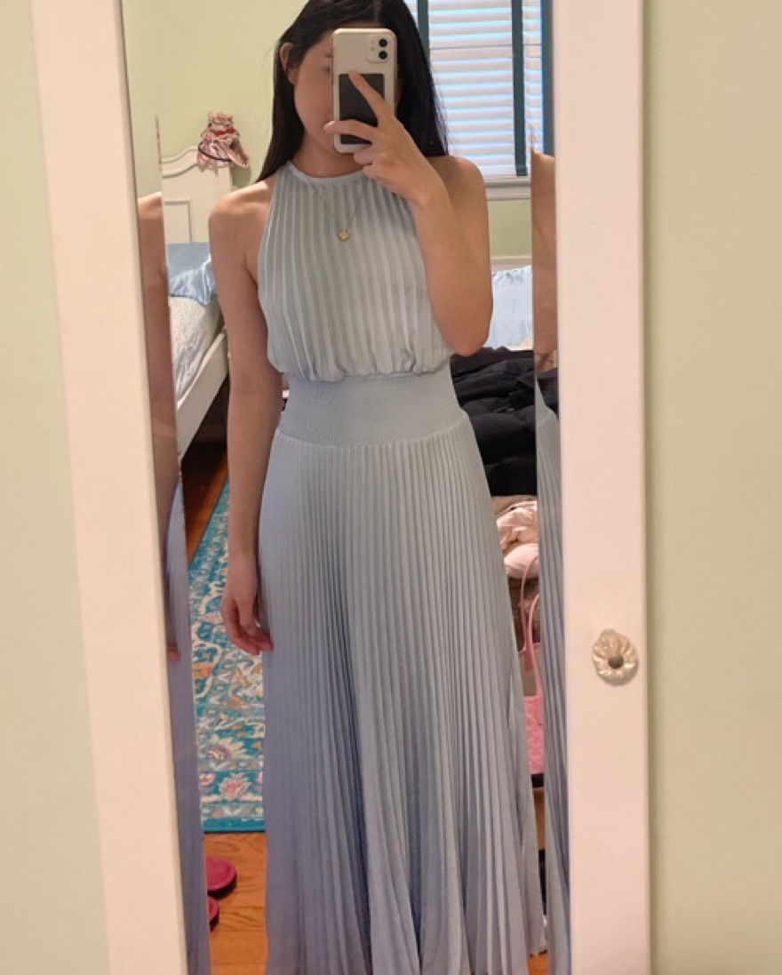 Aritzia Pleated Maxi Dress | Pickle