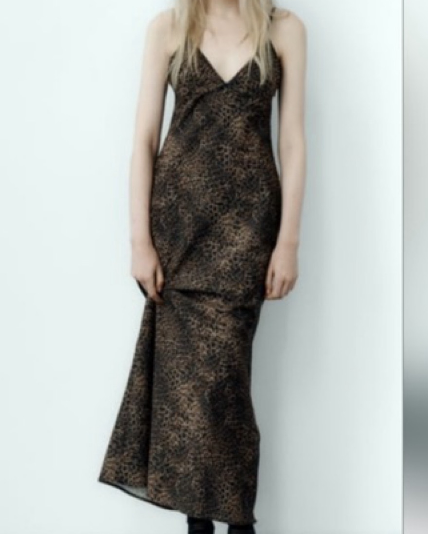 Zara Animal Print Midi Dress | Pickle