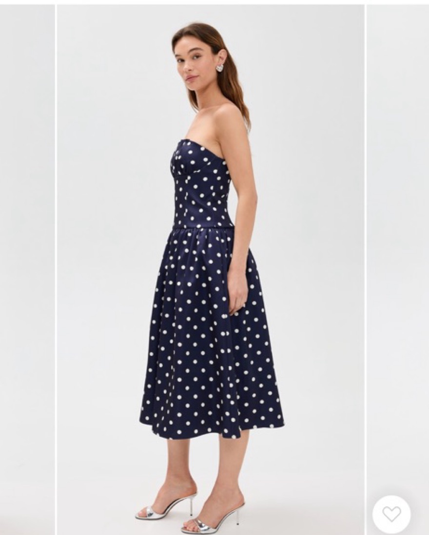 Self Portrait Navy Polka Dot Dress | Pickle