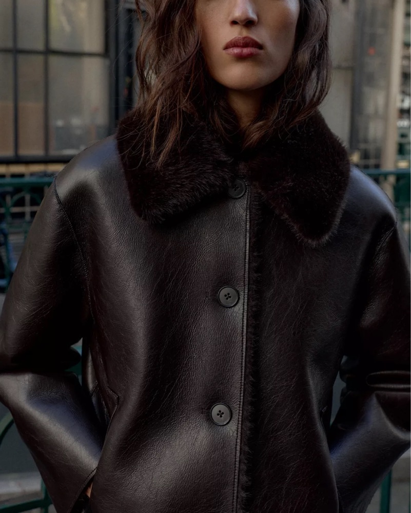 Reversable Faux Fur And Leather Jacket by Zara - Pickle