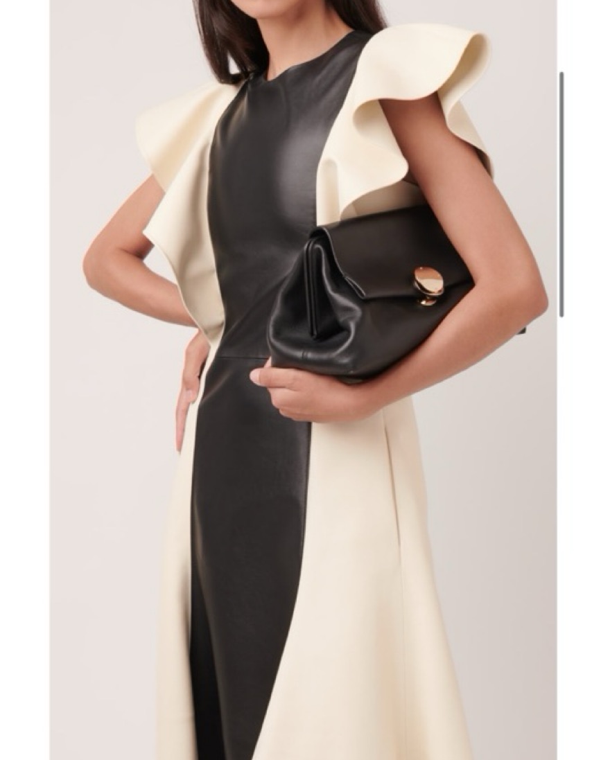 Chloé Leather Dress | Pickle