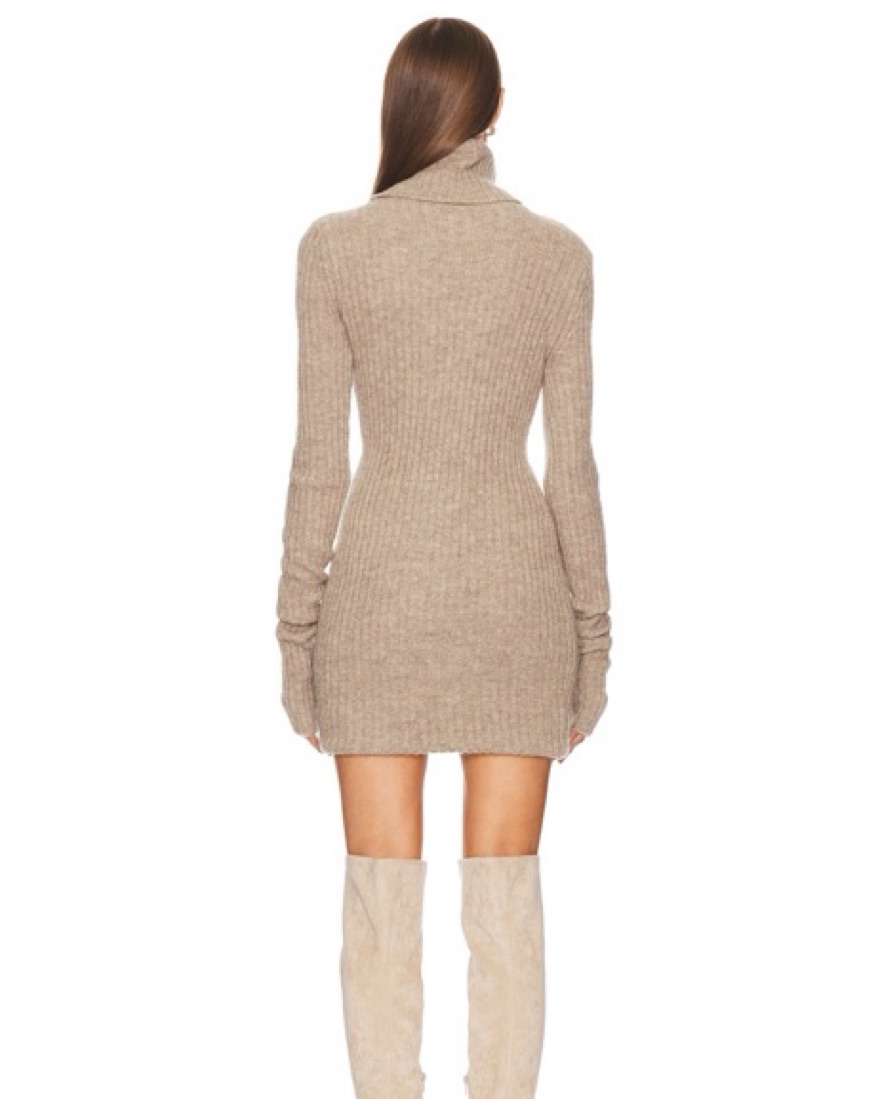 Helsa Lauren Mini Knit Dress | Pickle