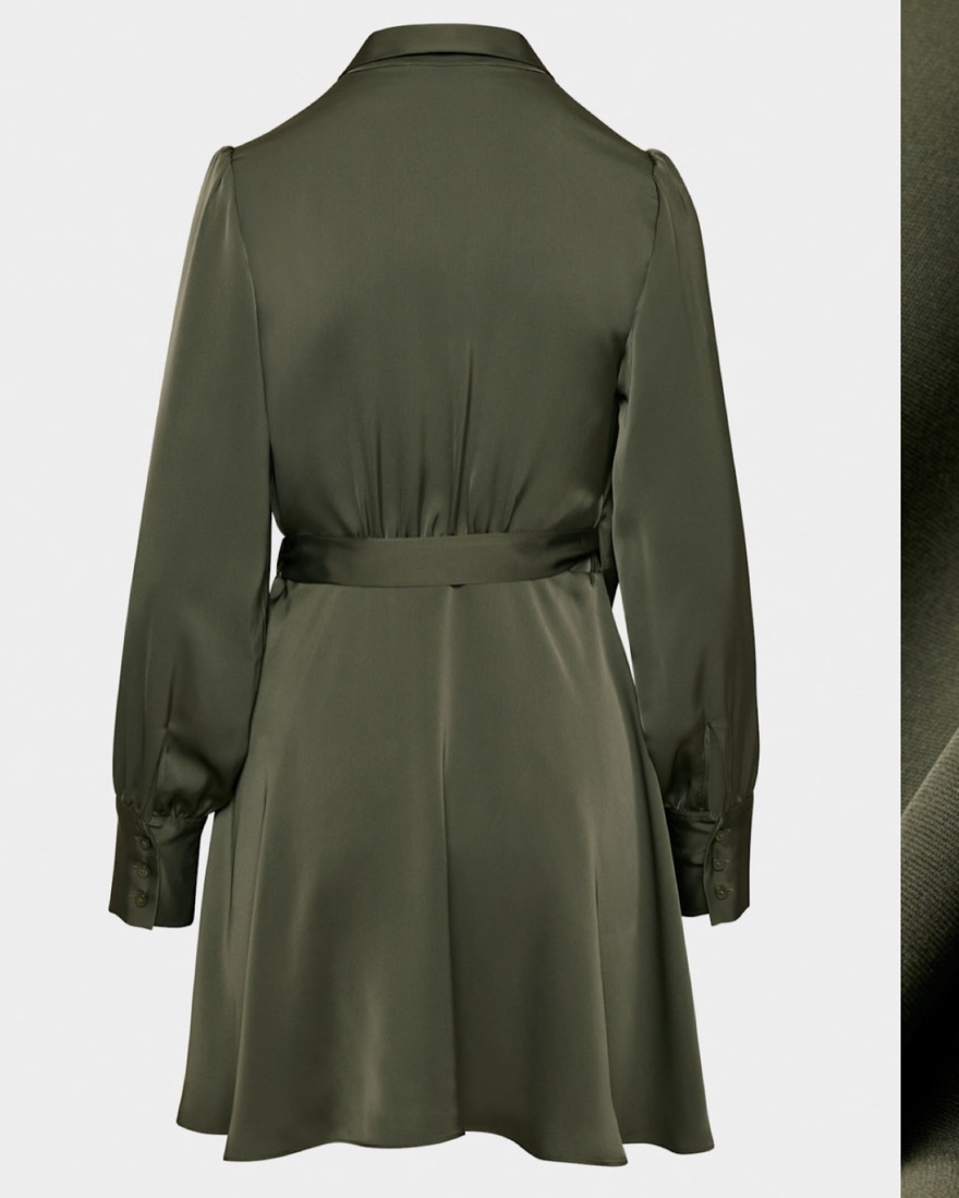 Aritzia Hyde Satin Mini Dress by Babaton - Pickle