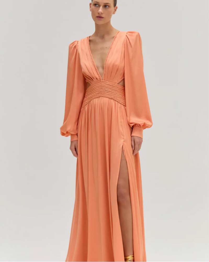 patbo long sleeve dress PatBO Long-Sleeve Plunge-Neck Printed Maxi Dress