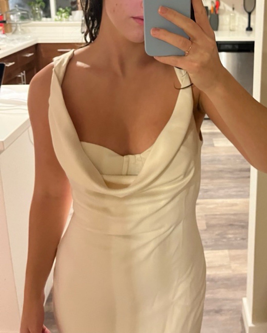 Kylen Midi Dress by Michael Costello - Pickle