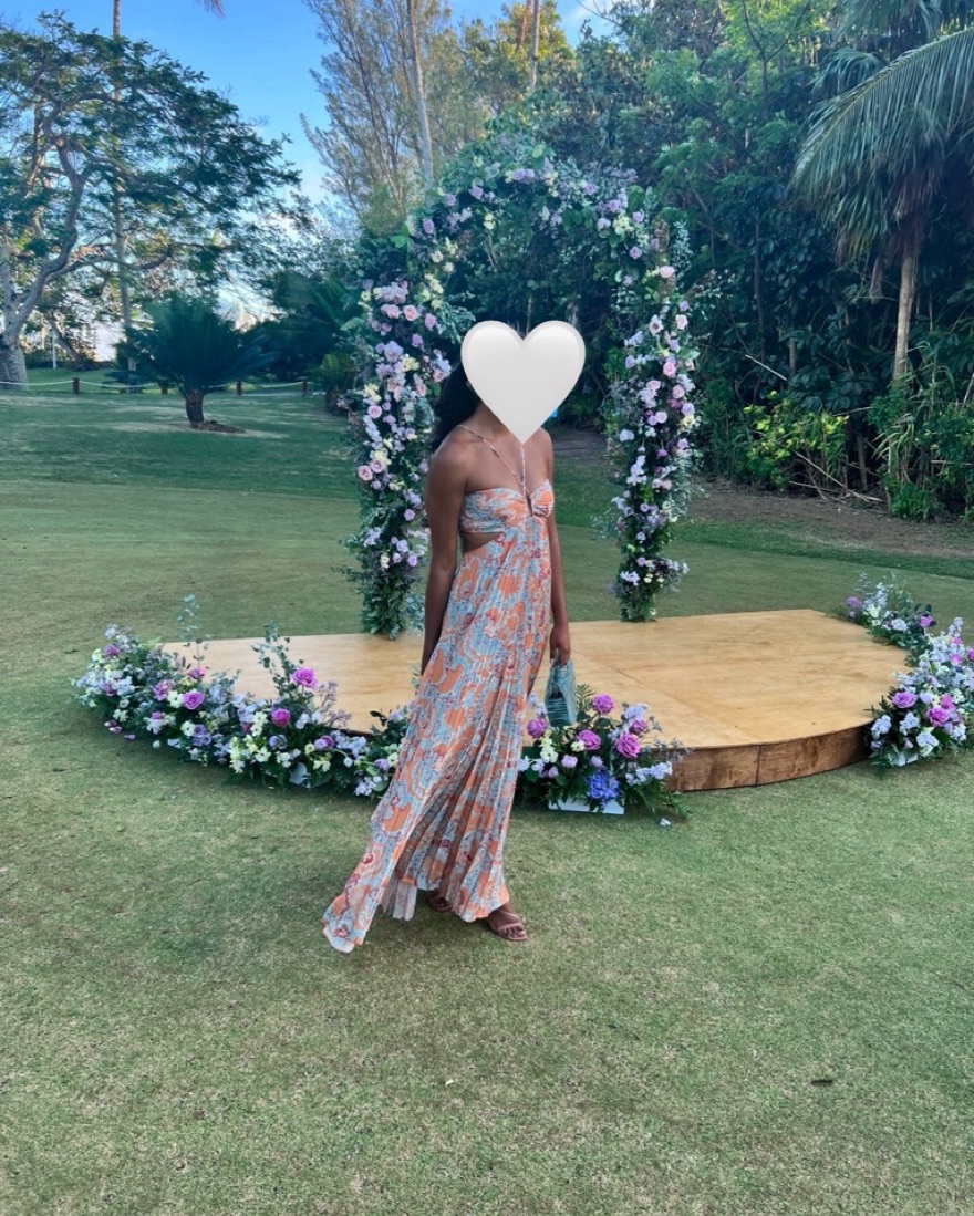 A.L.C Moira Pleated Paisley Gown by ALC - Pickle
