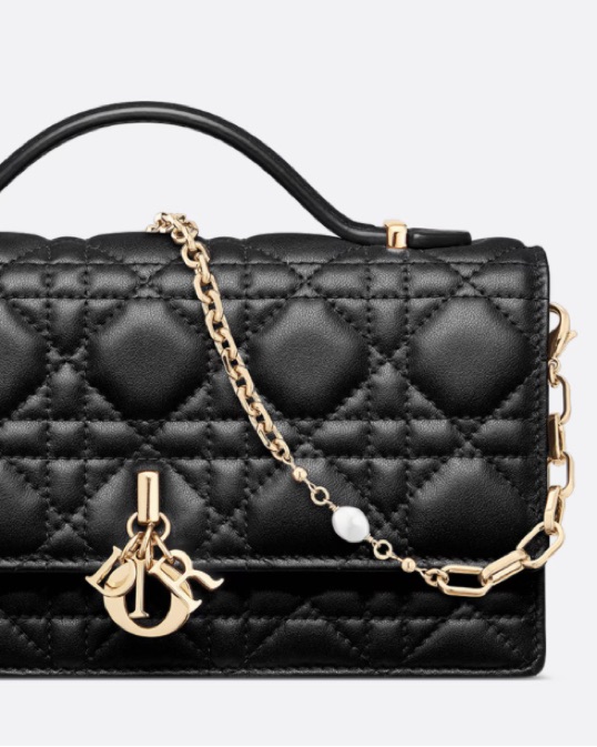 My DIOR mini bag | Pickle