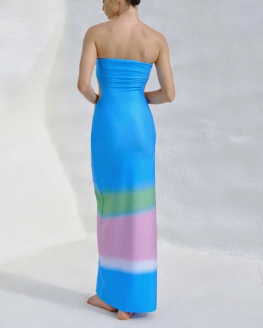 Blue Baobab Strapless Maxi Dress by Baobab - Pickle