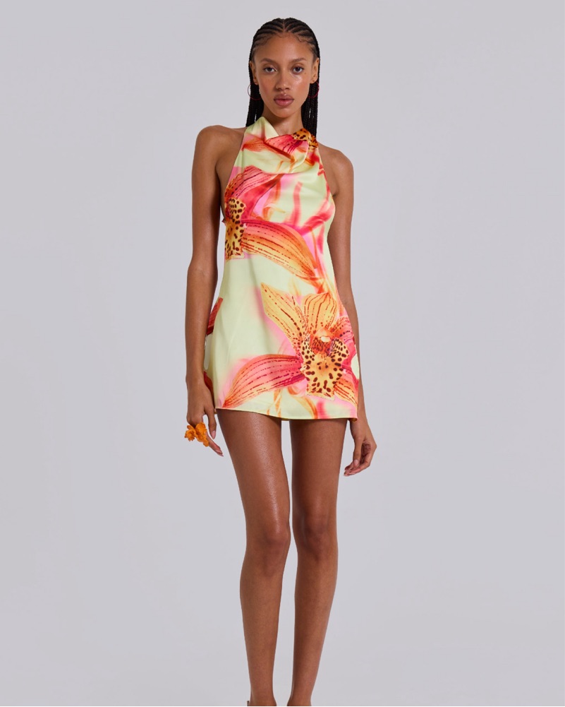 【JADED LONDON】TRIBECA BACKLESS トライベッカ バックレスミニ Jaded London | Tribeca Backless Mini Dress | Backless