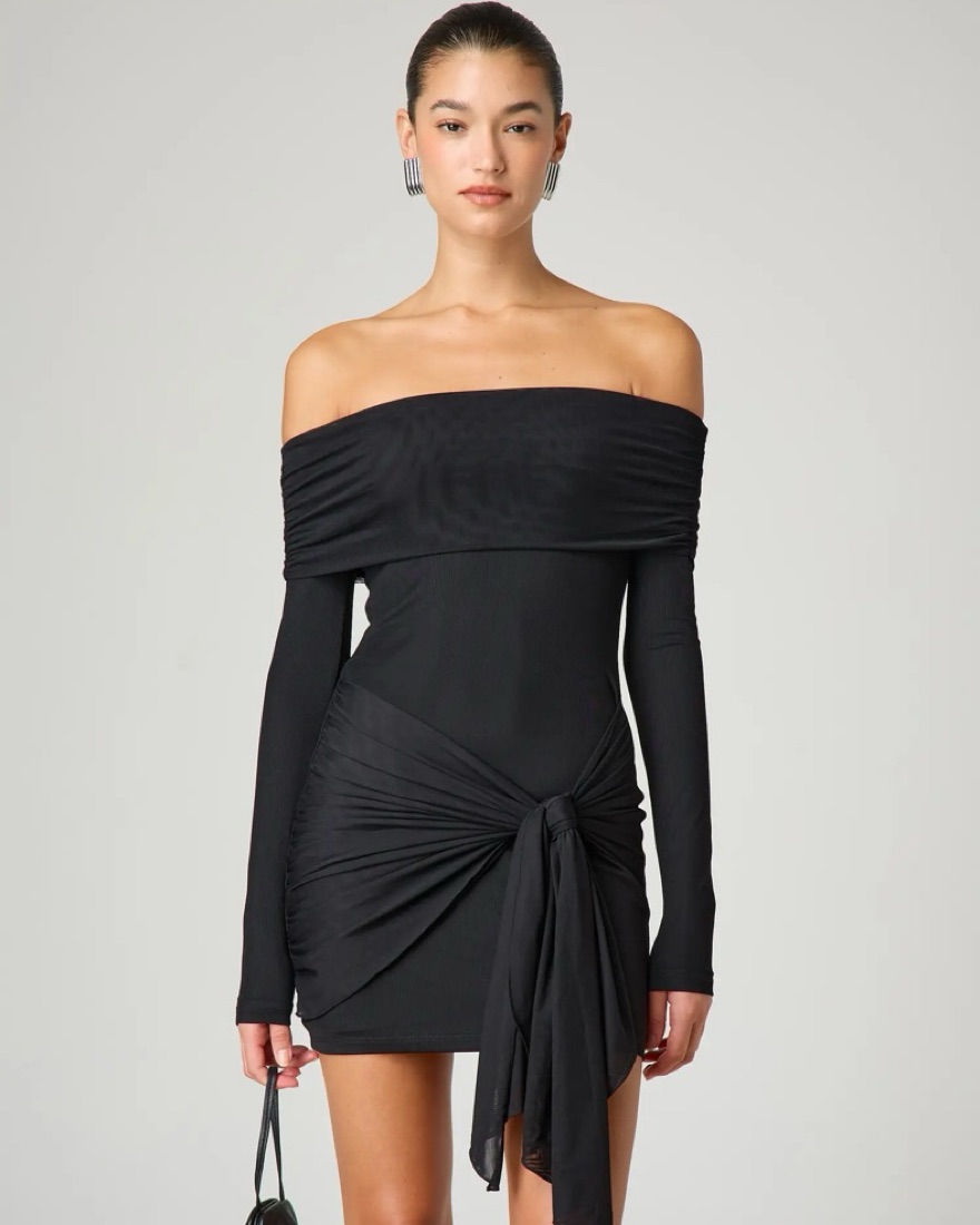 Glassons Black Mesh Tie Front Mini Dress by Glassons - Pickle