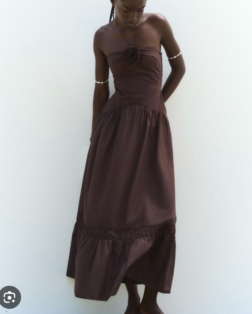 Brown Drop Waist Maxi Dress by Zara - Pickle