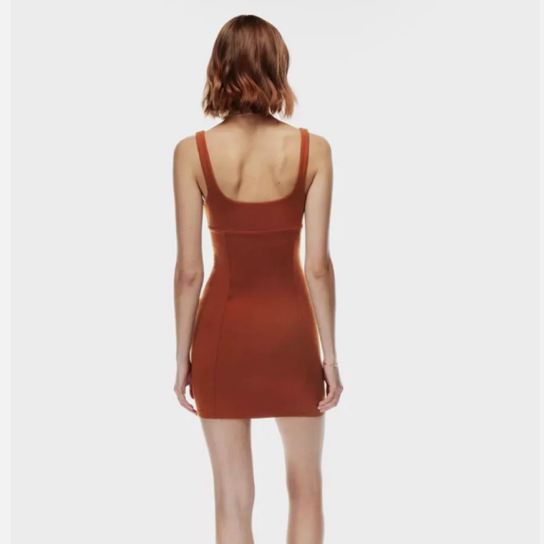 Red Aritzia Wilfred Free ORBIT DRESS XS | Pickle