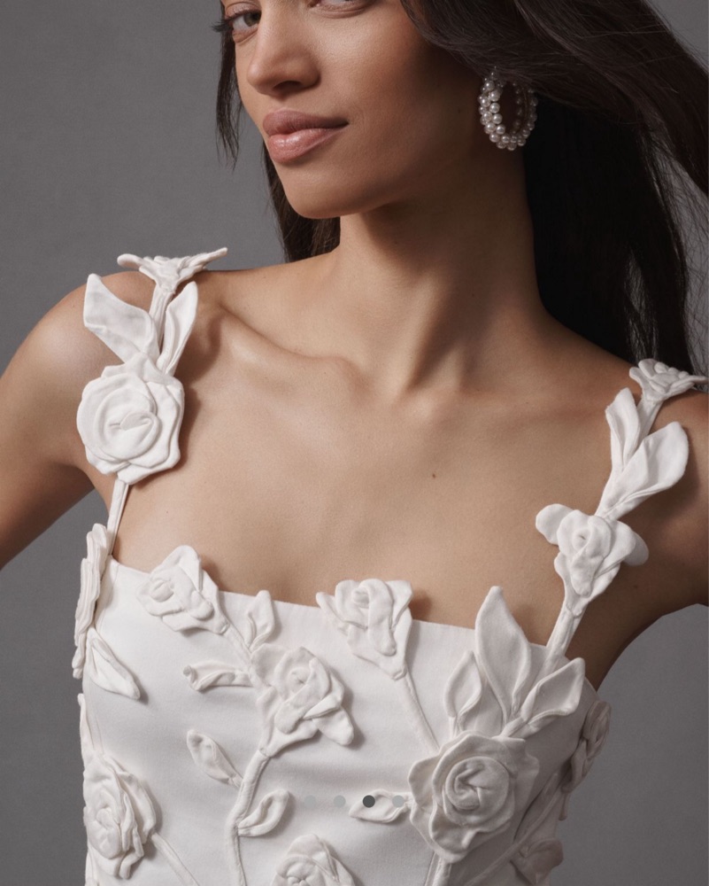 BHLDN Floral Applique Fit & Flare Dress by BHLDN - Pickle