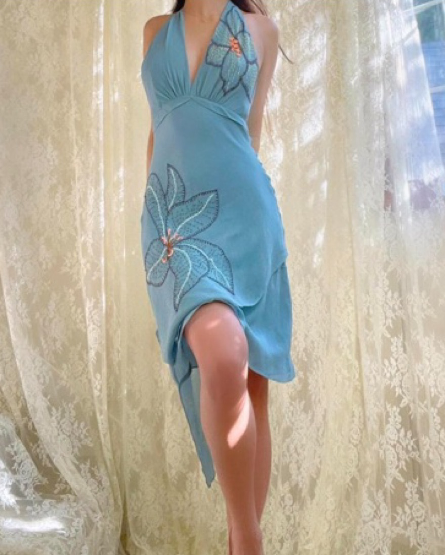 bcbgmaxazria floral embroidered evening dress BCBGMAXAZRIA NWT Embroidered Tulle Pale Blue