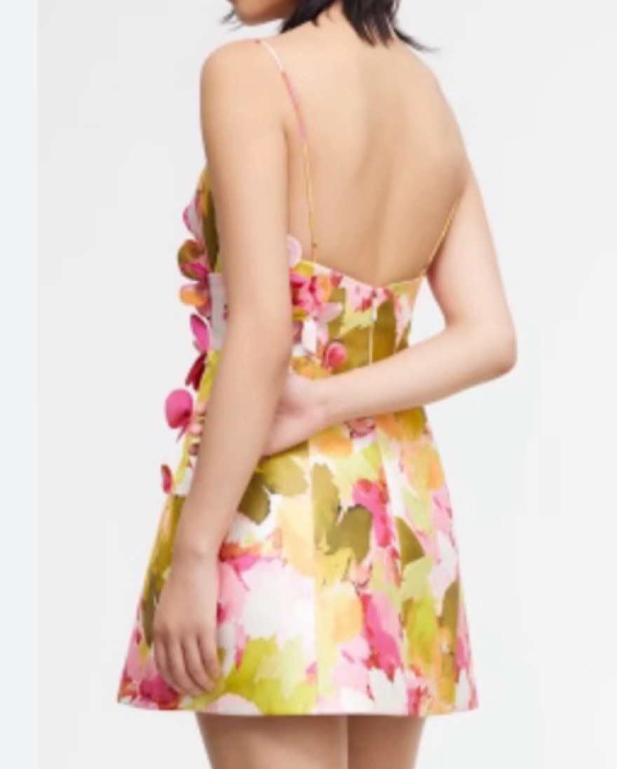 Acler Isla 3D Floral Embellished Dress by Acler - Pickle