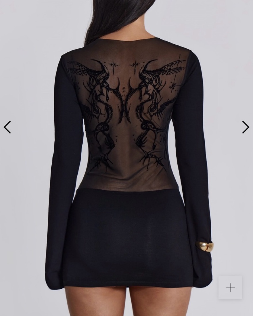 Jaded London Mesh Dress | Pickle