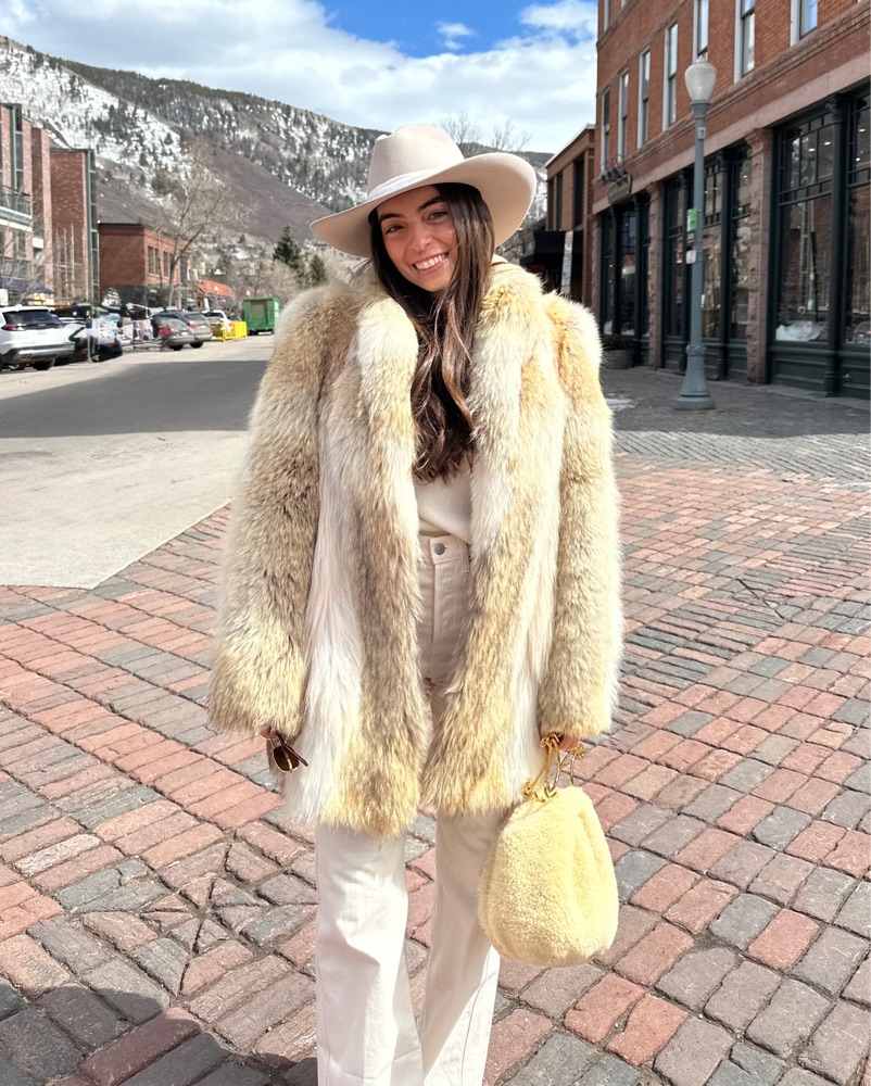 $2,000 Celine Sherpa Top Handle Bag by Celine - Pickle