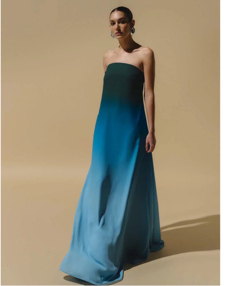 baobab nara maxi dress Baobab Nara Dress in Nautilus
