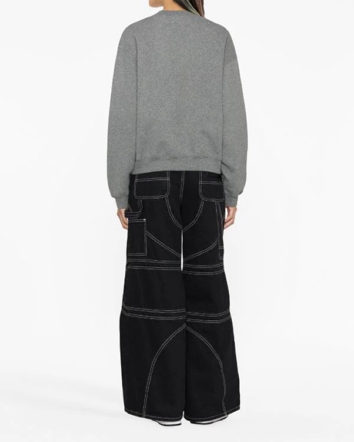 Alexander Wang Glitter Sweatshirt | Pickle