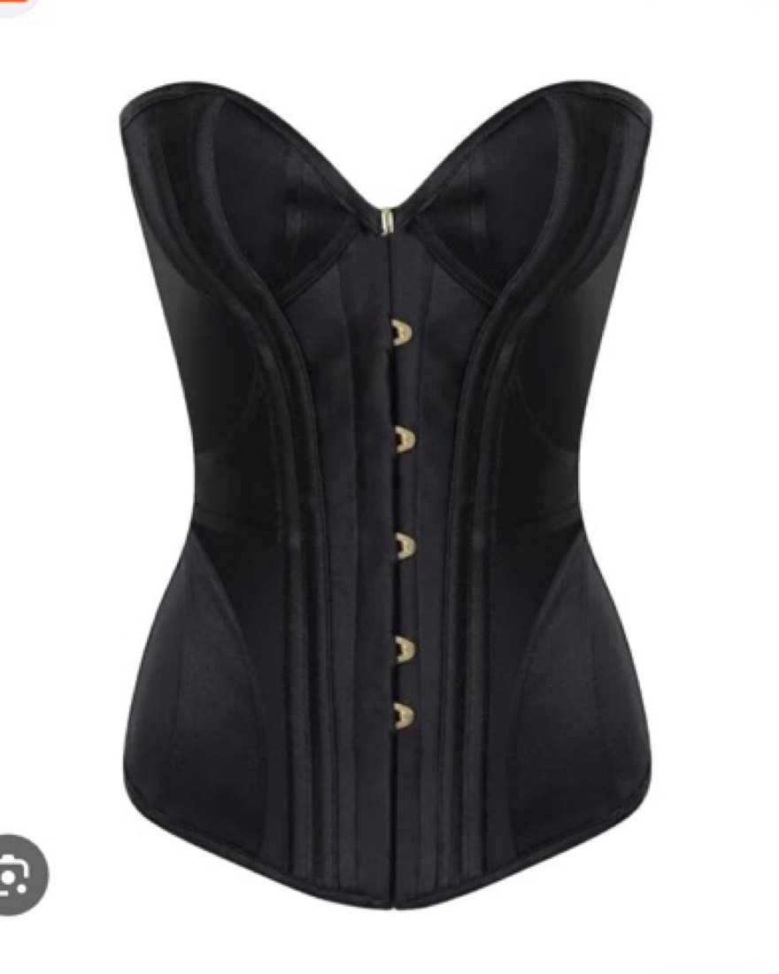 $500 AP Black Silk Corset by Agent Provocateur - Pickle